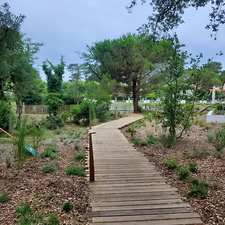 Bonamour Calluna